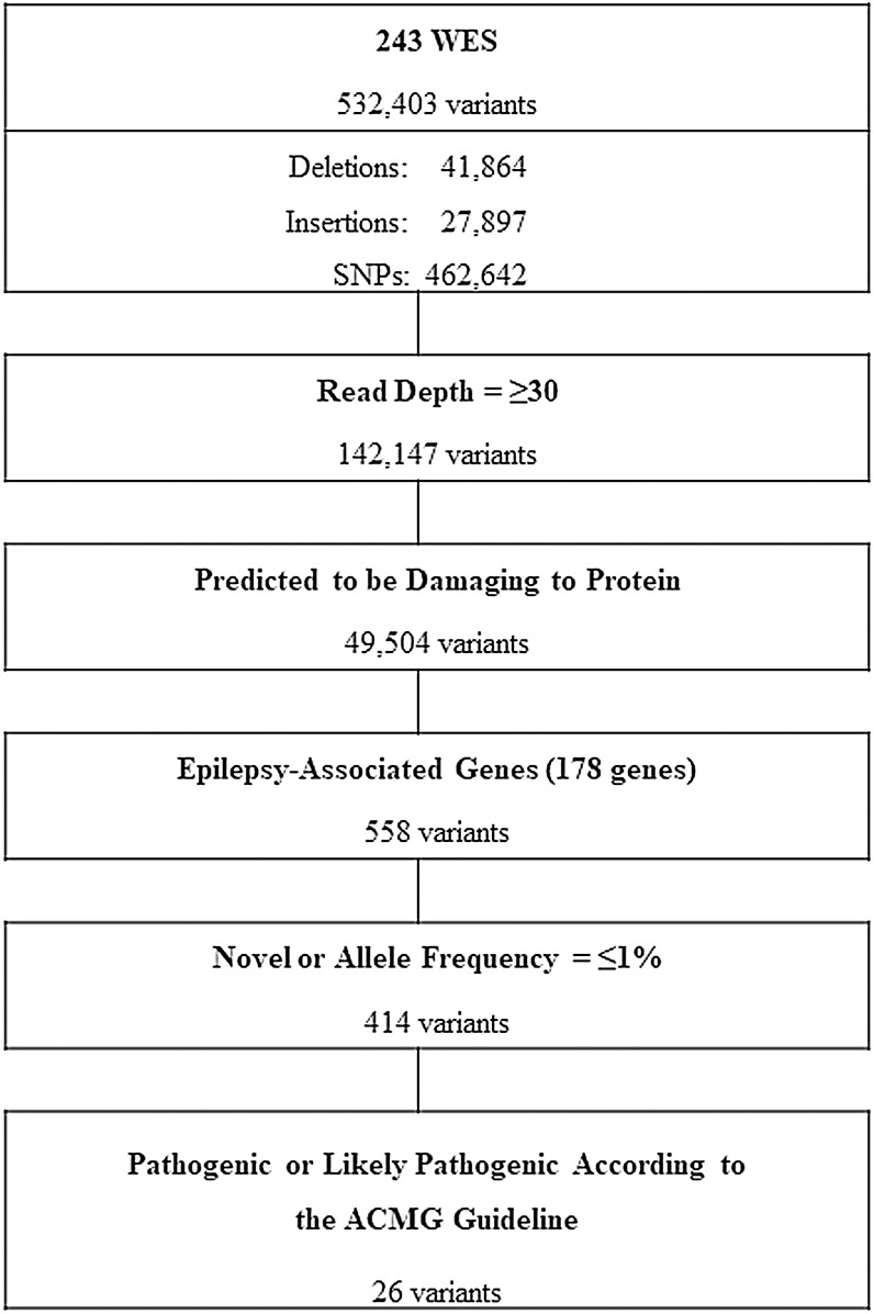 Genetic characteristics of non-familial epilepsy.